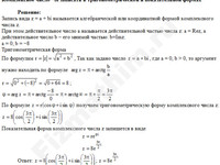 Комплексное число -8i решение пример 1